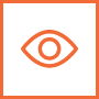 Vision